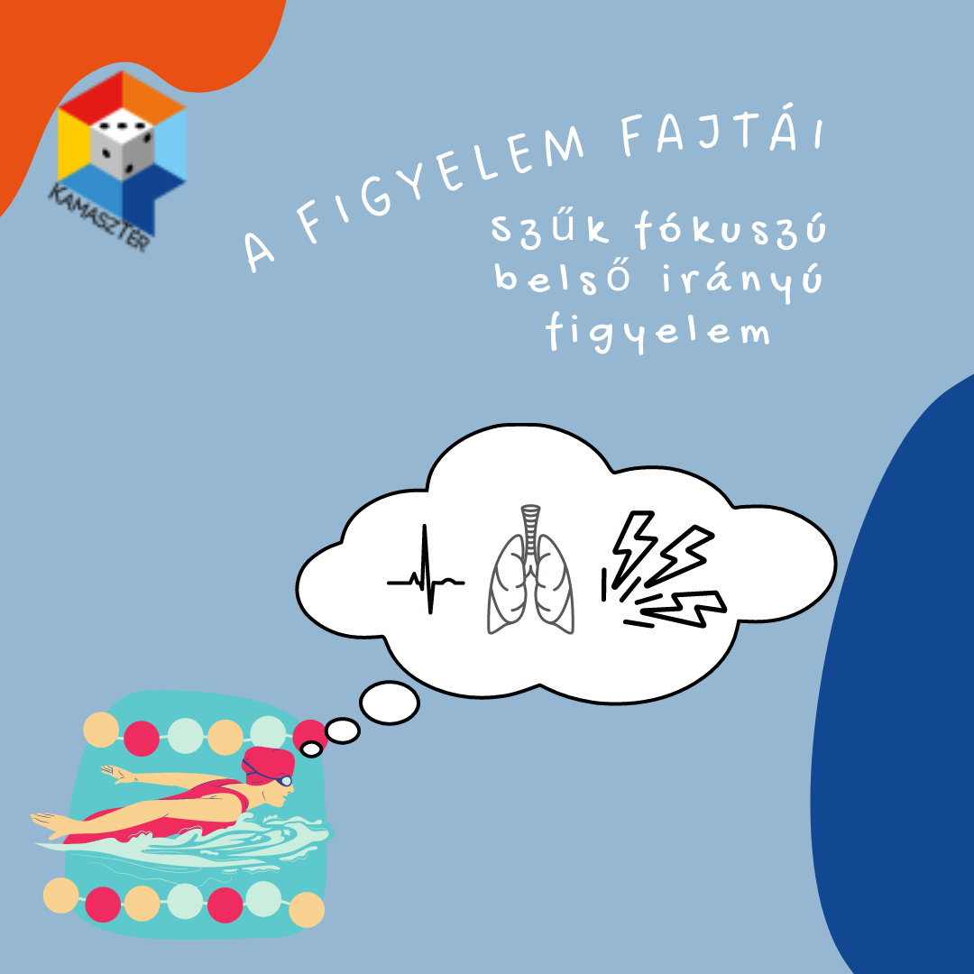 Figyelem fajtái a sportban